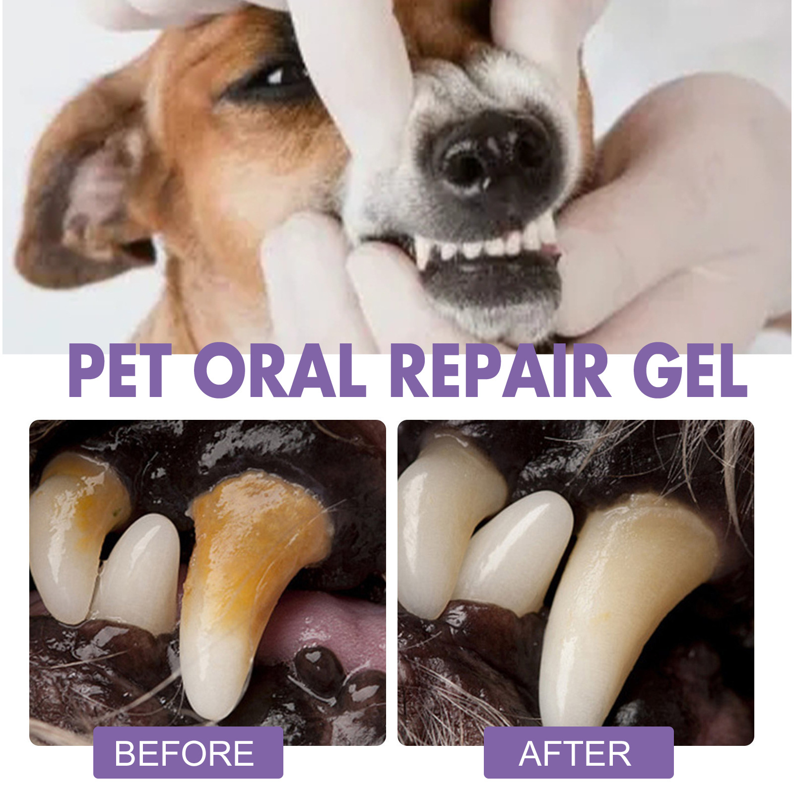 Pet Oral Repair Gel Puppy Tart - Teeth Whitening Gel recension och pris