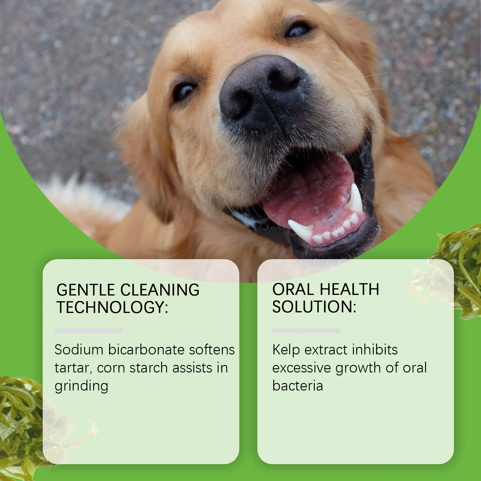 Yegbong Dog Teeth Cleaning Pow - Teeth Whitening Powder recension och pris