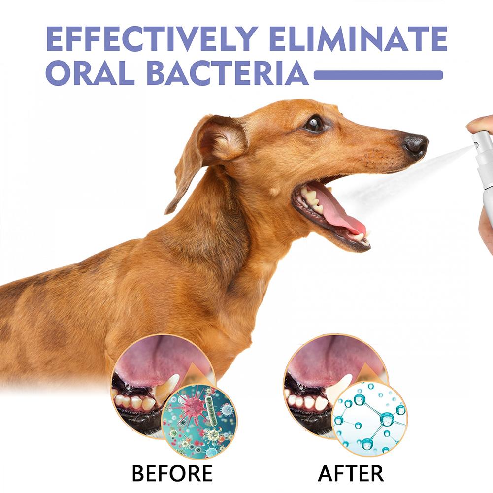 Pet Oral Cleaning Spray Mouth  - Colgate Whitening Teeth recension och pris